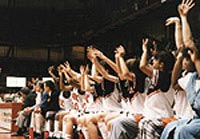 state bench