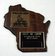 WISE Division Best of Show Award