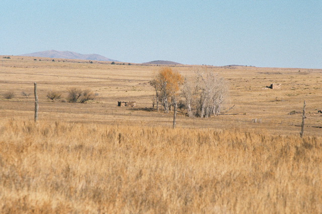 NM Creek