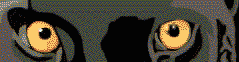 Panther eyes