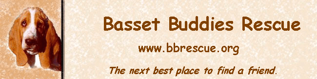 Basset Buddies Rescue Banner for website